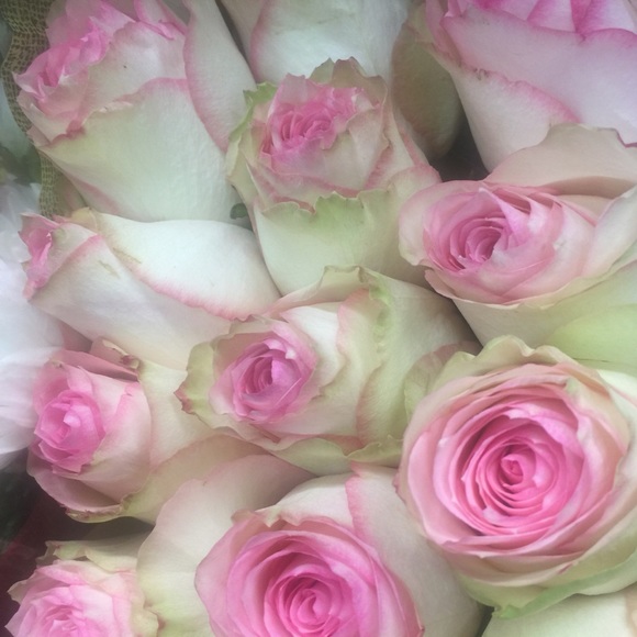 Make me offers - Picture 1 of 1